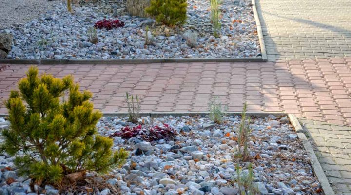 A residential garden featuring decorative paving, surrounded by landscaped areas, highlighting craftsmanship in paving and outdoor remodeling.